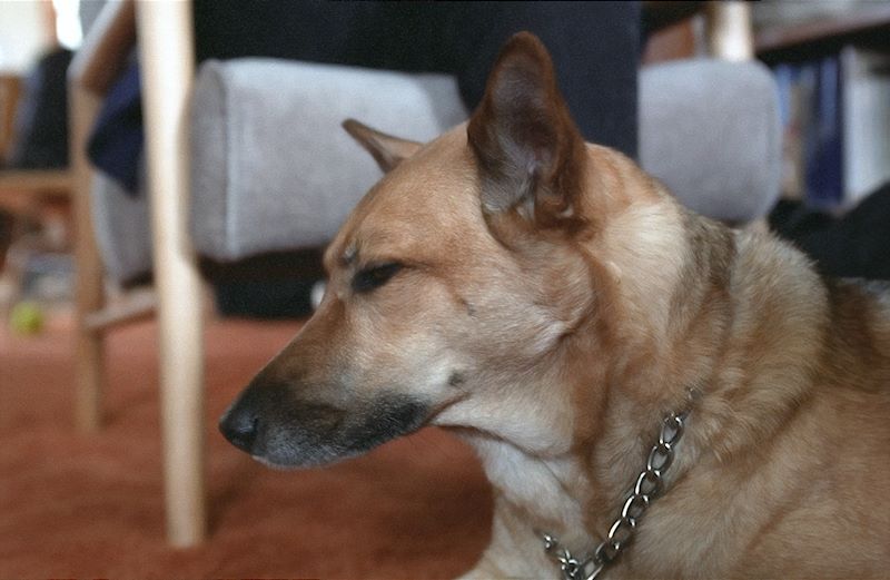 Proex  199901 007-002