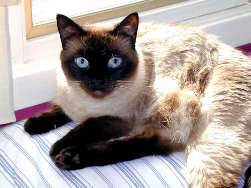 What do <i>you</i> want?