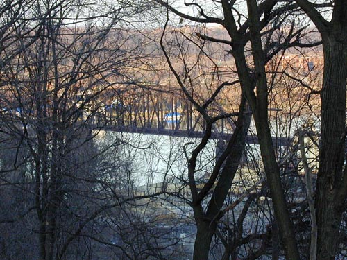 Bridge, rather obscured by trees