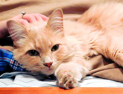 Am I being photographed again?