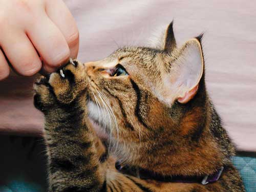 Mistral and somebody