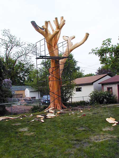 Tree and conventional toys