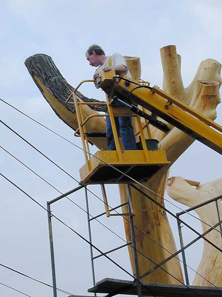 Stripping the last of the bark