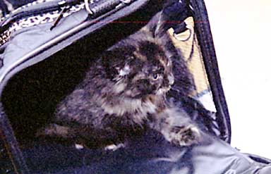 Naomi ventures out for the first time