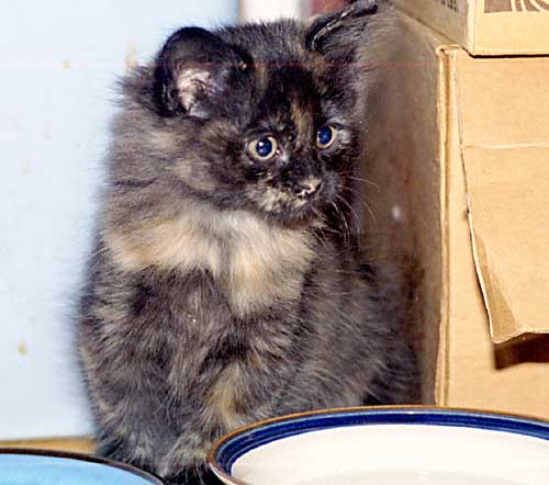 Food *and* water? Wow!