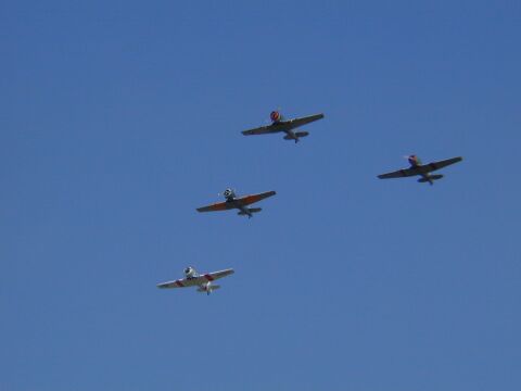 Ep850-20010715-107.work