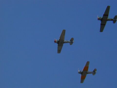 Ep850-20010715-110.work