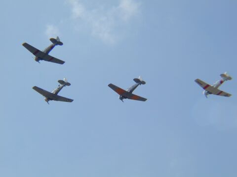 Ep850-20010715-113.work