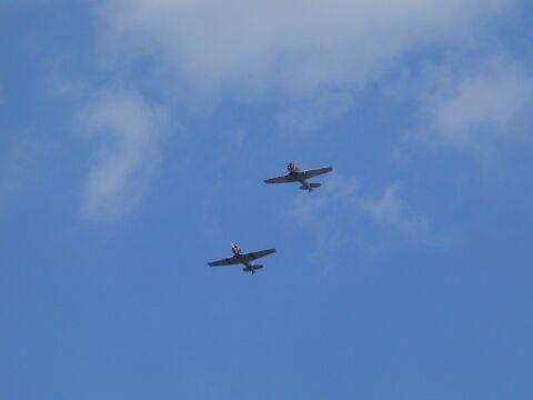 Ep850-20010715-138.work