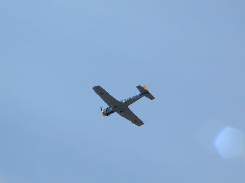 Ep850-20010715-154.work