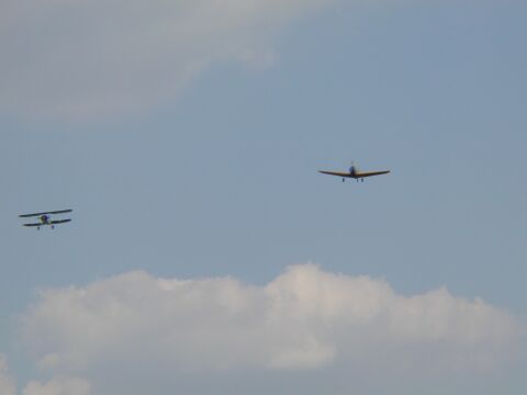 Ep850-20010715-161.work