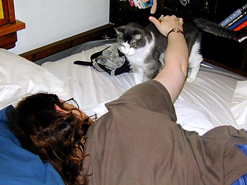 Lydy and Lilith in the bed