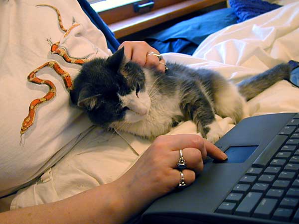 Lilith helping Lydy with her computer