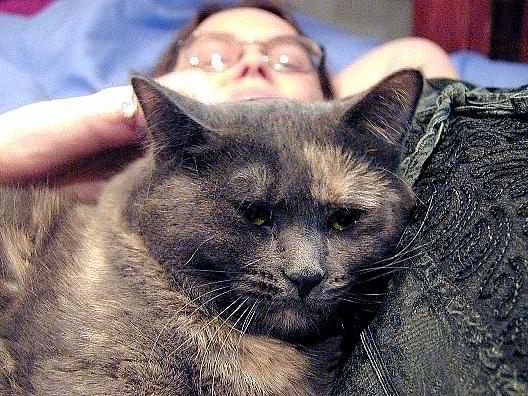 Ep850-20021111-023.orig