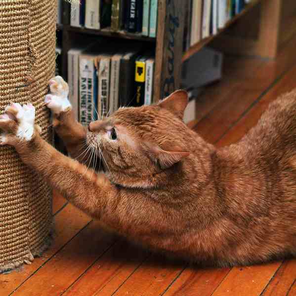 ddb 20030105 010-006