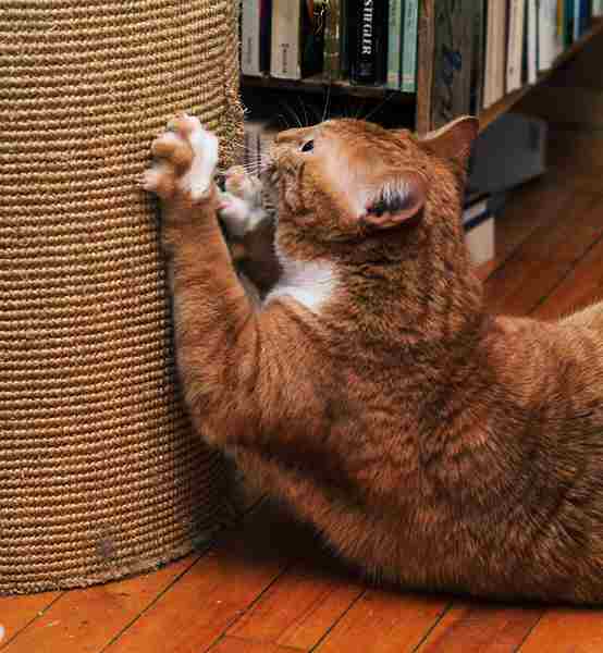 ddb 20030105 010-008