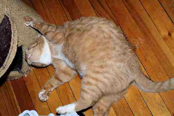 ddb 20030105 010-013