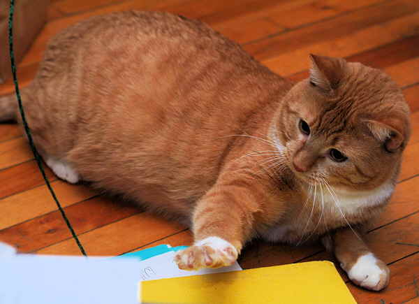 ddb 20030105 010-027