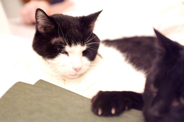 ddb 20030222 010-016