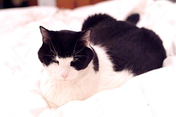 ddb 20030222 010-017