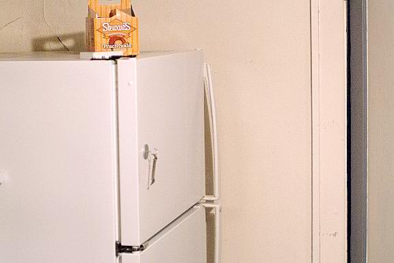 The saga of the refrigerator door...