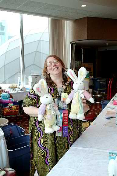 ddb 20030418 500-029