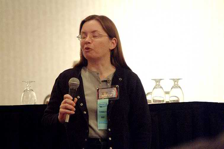 ddb 20030418 500-098