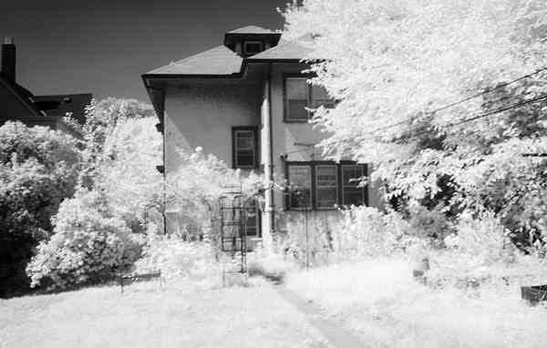 Back of house in the infrared