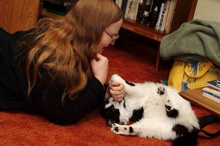 ddb 20031123 010-006