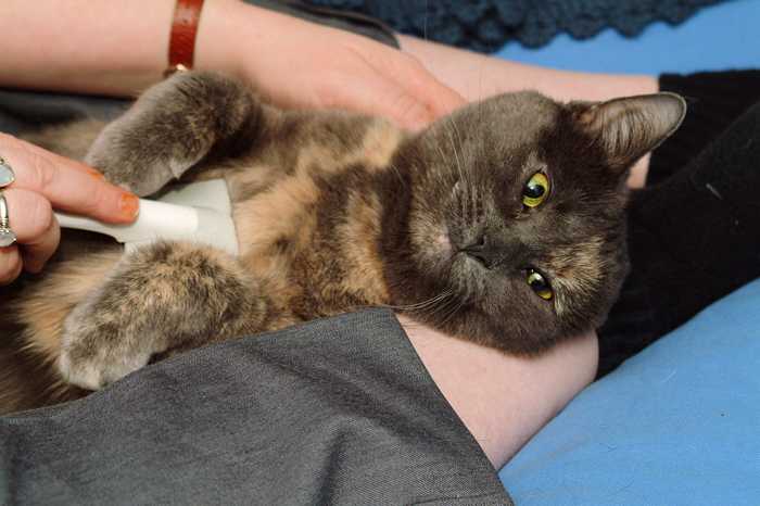 ddb 20040421 010-015