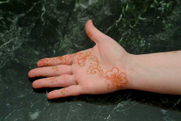 Lydy's henna hand and arm decorations