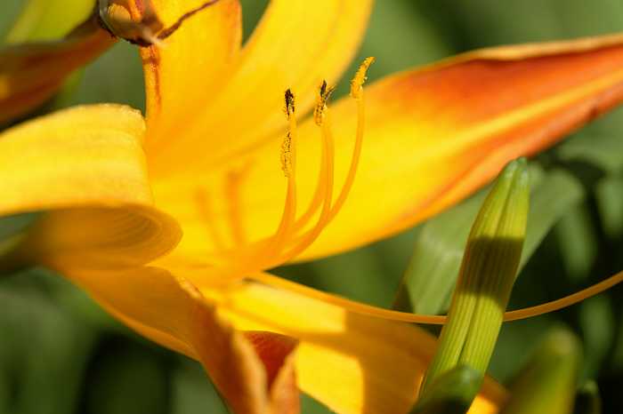 ddb 20040715 010-039