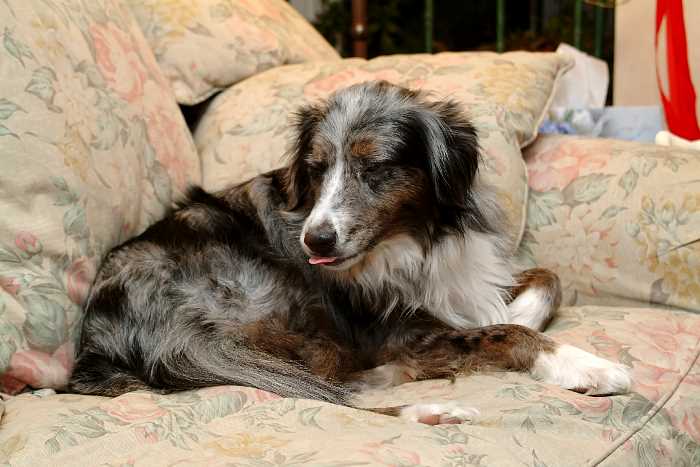 ddb 20041225 010-108