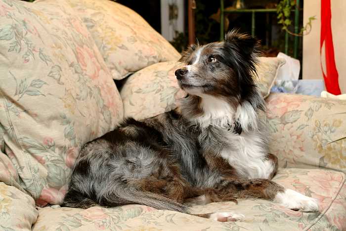 ddb 20041225 010-110