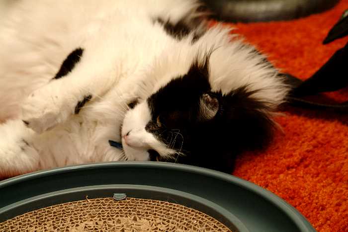 ddb 20050206 010-038