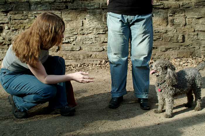 ddb 20050328 010-051