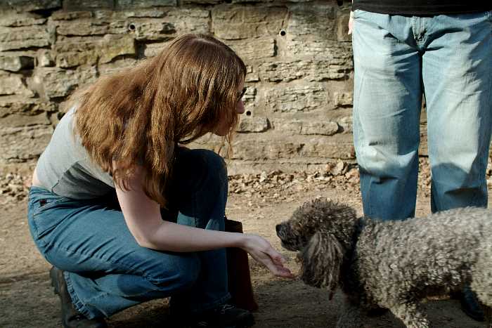 ddb 20050328 010-052