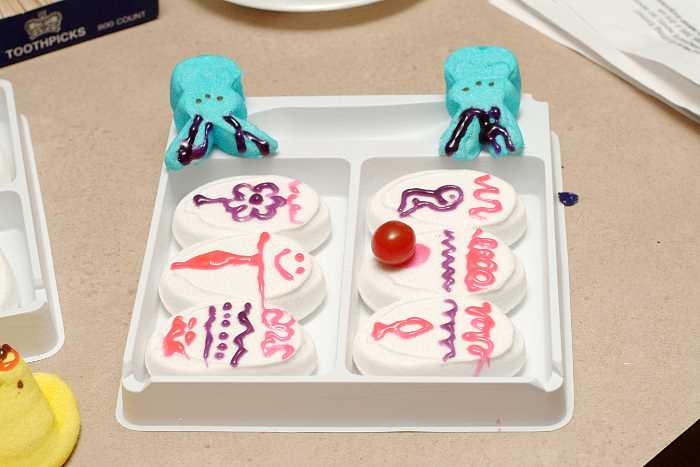 ddb 20050327 020-049