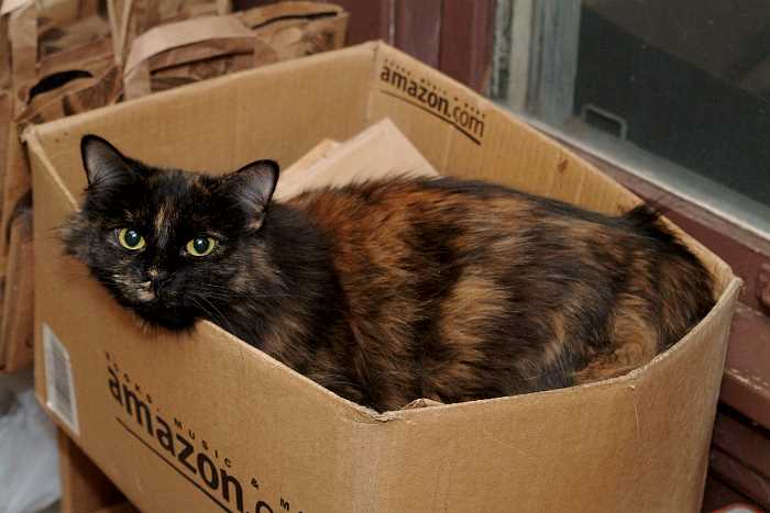 ddb 20050423 010-035