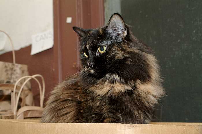 ddb 20050423 010-039