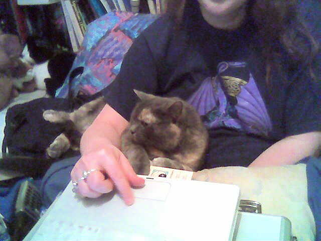 ddb 20050516 010-003