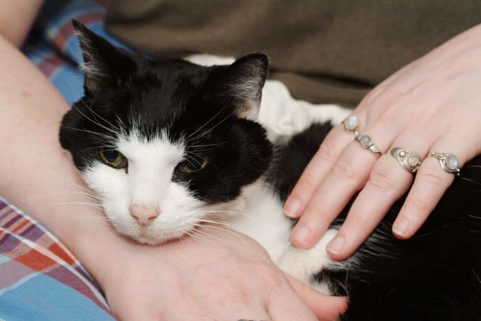 ddb 20050423 010-008