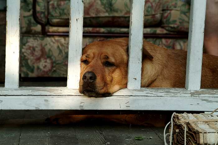 ddb 20050625 010-025