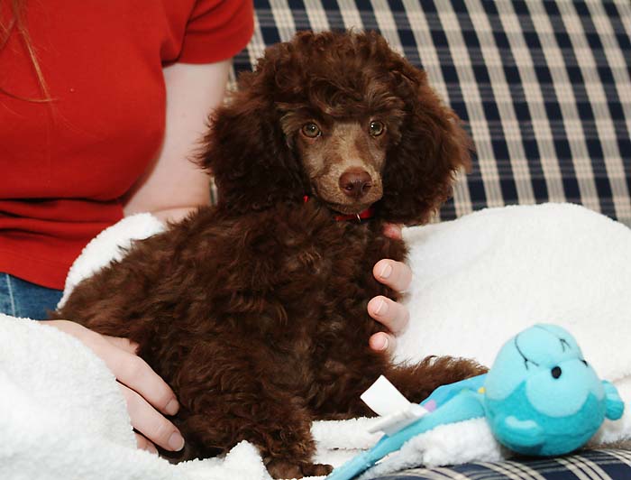 ddb 20050712 010-011