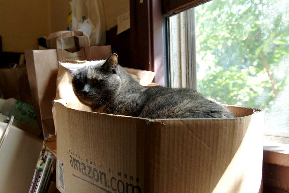 ddb 20050827 010-003