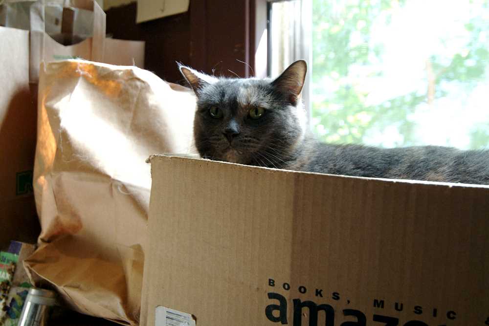 ddb 20050827 010-006