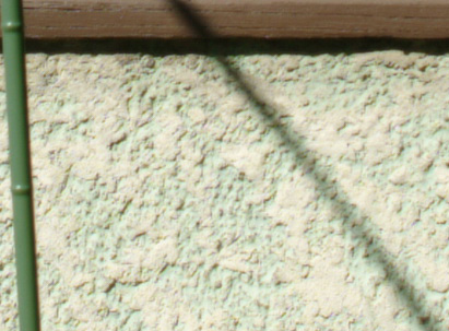 Nikor 24mm f2 at f4 center 100%