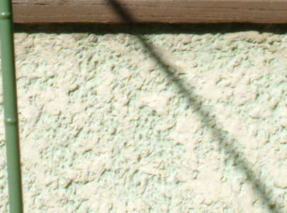 Nikor 24mm f2 at f8 center 100%