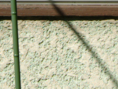 Tokina 12-24mm ATX-Pro DX at 24mm, f8 Center 100%