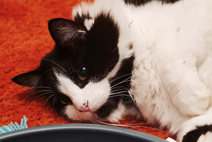 ddb 20050916 010-013